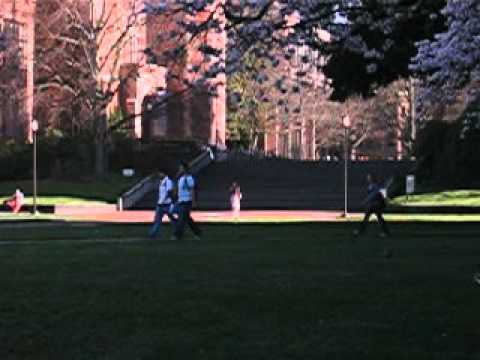UW_Quad.AVI