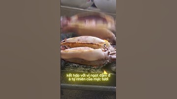 Bắt Mực Tươi Nướng Mọi - Vị Ngọt Đậm Đà Từ Biển Cả #shorts #review #travel