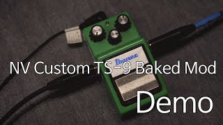 [JungMato] NV Custom TS-9 Baked Mod Pedal Demo