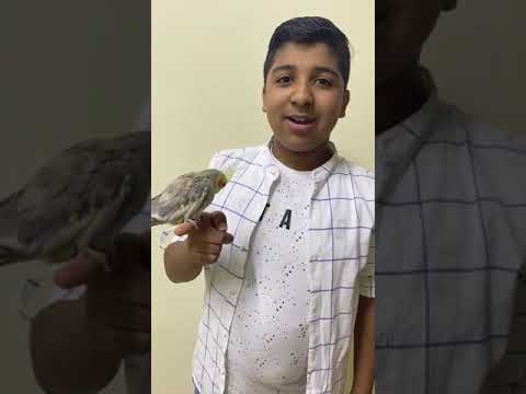 يوسف محمد يوسف المحاسينة