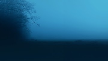 Antent & my head is empty - days go by | Slowed + Reverb