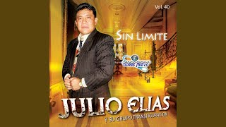 Video thumbnail of "Julio Elías - Llegaste Tu"