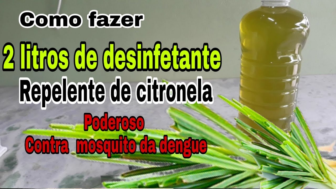 Como fazer 2 litros de desinfetante repelente de citronela! Casa limpa ...
