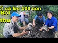 Bắt Ổ Cá Lóc Núc Nhúc Hàng 100 Con Khổng Lồ Nhất Việt Nam, Săn Bắt Ẩm Thực Vùng Cao