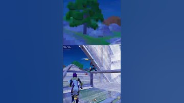 PeterBot Makes PRO Players Look Like BOTS in Duo Division Cup