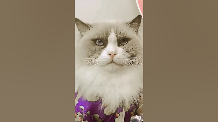 🚫🐾 Safety first! Puff shows you how to wrap broken glass safely before tossing! #ThatLittlePuff