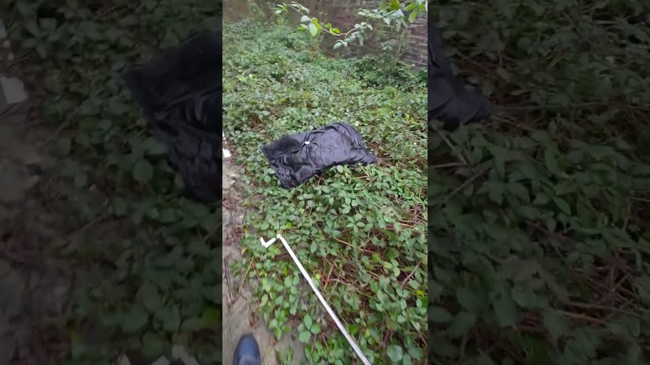 A circle round the back of Newsham Park Shiel road 