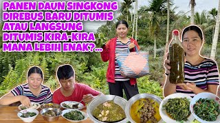 Download Lagu MASAK TULANG SAYUR ASIN DARI KAMPUNG TAYOK, LANJUT PERGI KEBUN PANEN SAYUR MP3