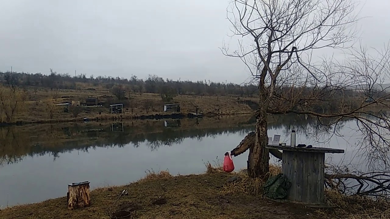 Погода дубовка ставропольский край шпаковский