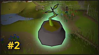 The Bagged Plant Route | POH Chunk #2