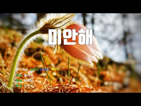 [은성 반주기] 미안해 - 줄리엣