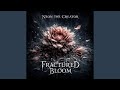 Fractued Bloom