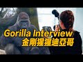 Gorilla Interview 訪談金剛猩猩迪亞哥