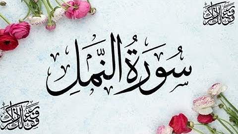 محاكاه للقارئ/اسلام صبحي😳بآداء القارئ/عمرمحجوب/😴_سورة النمل
