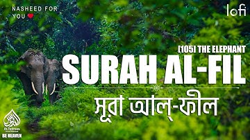 [105] SURAH AL-FIL - THE ELEPHANT • সূরা আল্‌-ফীল سورة الفيل surah Al Fil Chapter of the Elephant