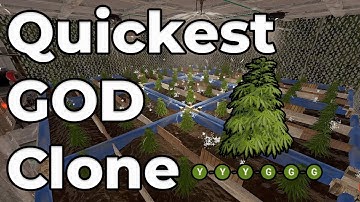 The Easiest and Quickest Way to Get a GOD Clone in Rust