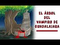 ÁRBOL DEL VAMPIRO DE GUADALAJARA | Draw My Life Historia de Terror