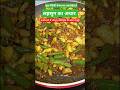 lahsun ka achar | लहसुन का अचार #shorts #ytshorts #youtubeshorts #shortsfeed #garlicpickle