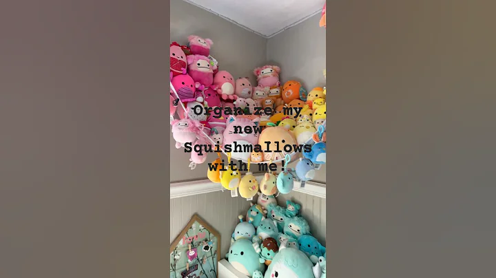 ORGANIZING MY NEW SQUISHMALLOWS! #squishmallows #shorts @Squishmallows