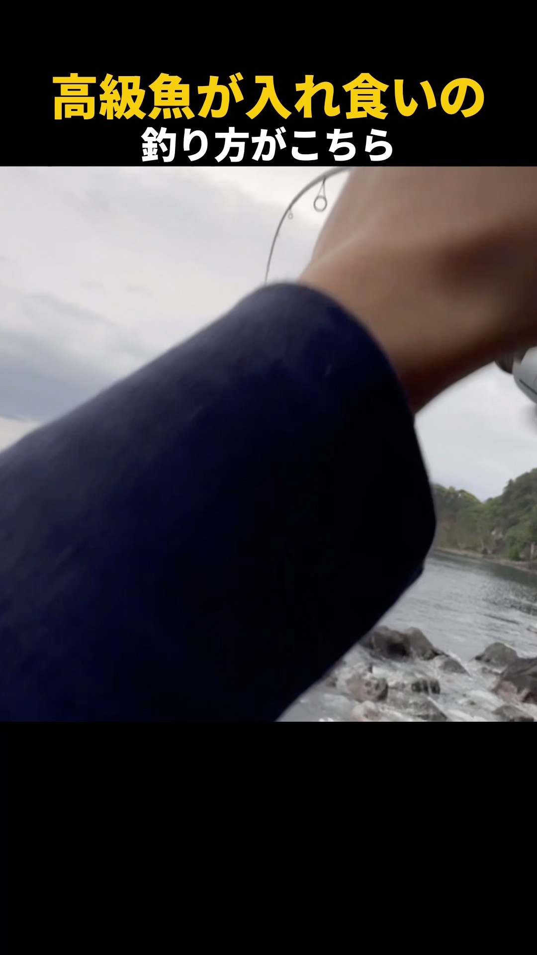 How to catch high-end fish one after another #shorts