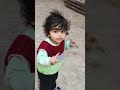 my niece at cow shelter