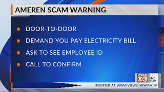 Ameren Scammers
