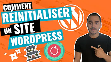 Comment enlever le WordPress com ?