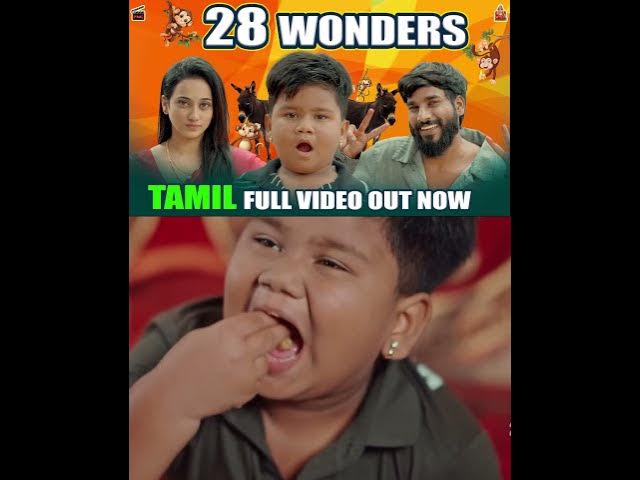 28 wonders du video link 👆