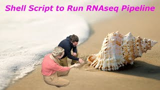 Last Step to Run RNAseq Pipeline: Shell Script Net Worth