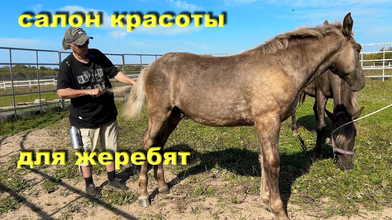 ������������