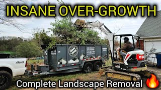 The Property Owner Died | We Got Hired For A Complete Landscape Removal | Mini Skid × Mini Excavator