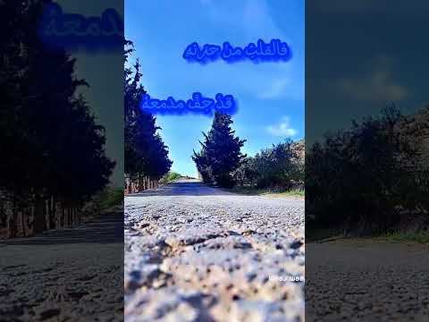 قلي متي العمر والايام تجمعنا