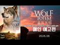 울프 토템 - 전문가 심층 리뷰 및 관람 포인트 4 예고편 썸네일