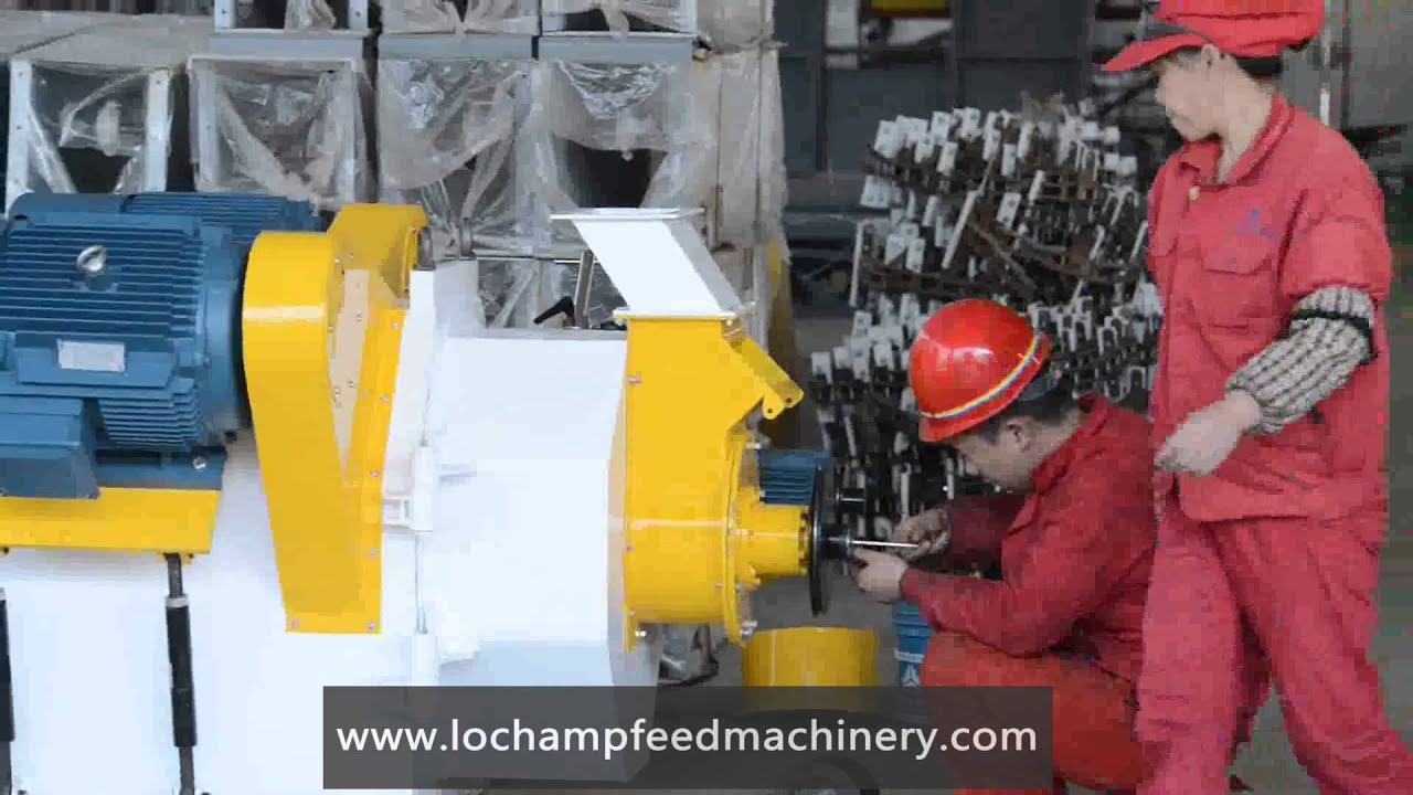 Cattle Feed Machinery,Cattle Feed Machinery Price,LoChamp Machinery