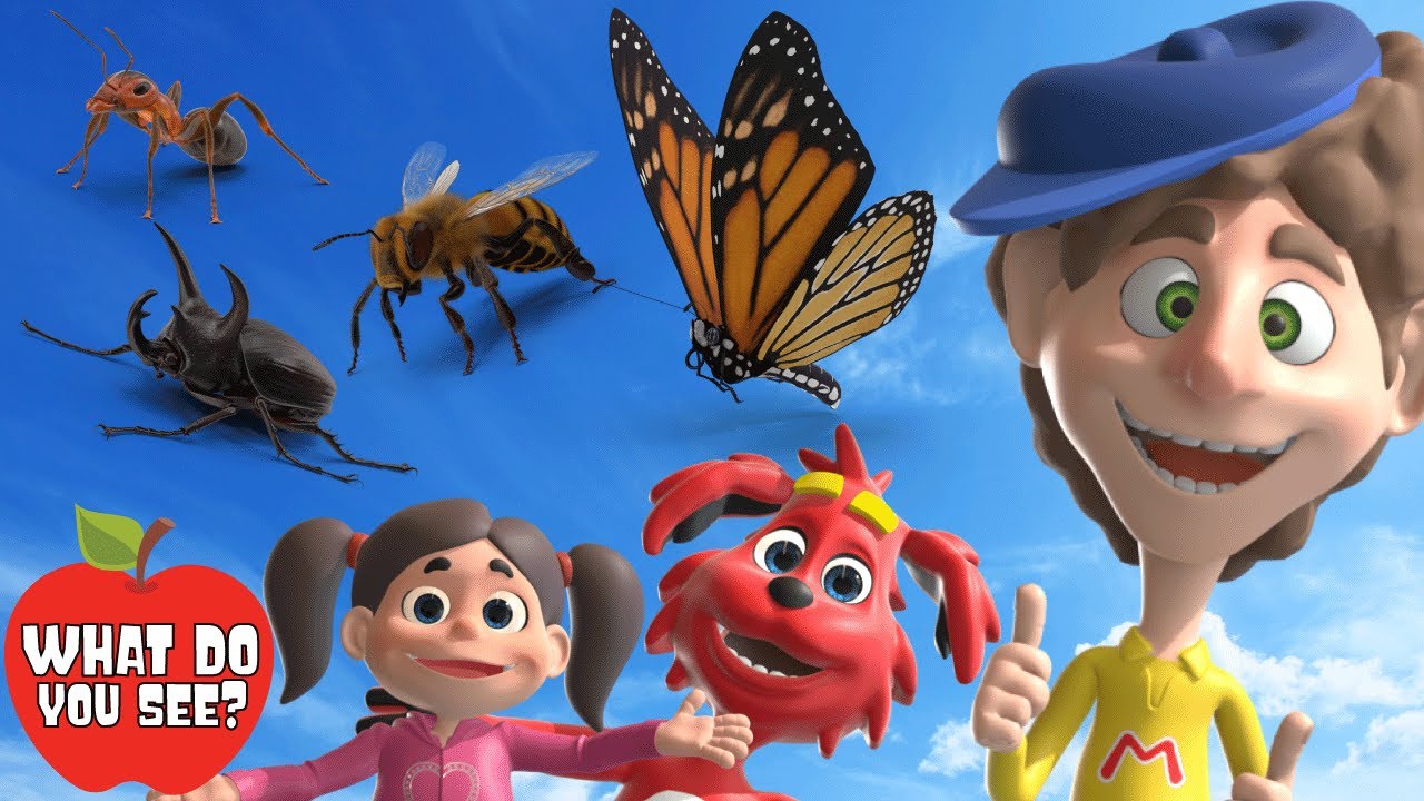 Bugs | What Do You See? Song Animation | Dream English Kids Bugs | What Do You See? Song Animation | Dream English Kids