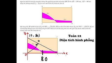 Toán 12: Người ta thiết kế một dải sóng trên những viên gạch lát sàn hình chữ nhật ABCD