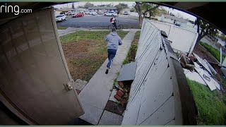 Craziest &amp; Funniest Moments Caught On Ring Home Security Camera