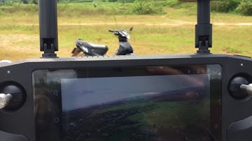 Herelink FPV test - round 3