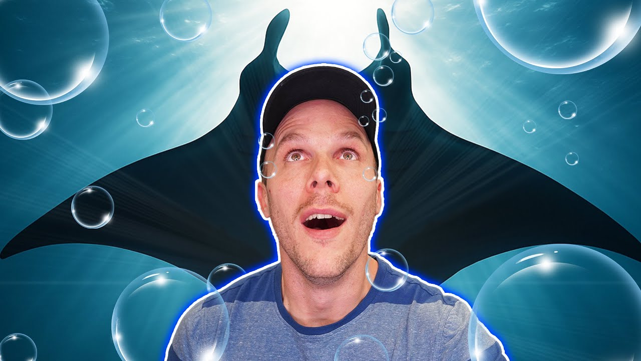 A Nagy Manta Vadászat | Maldív Szigetek