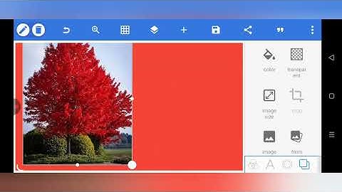 HDR 4K Portrait |Professional Retouching LookCanonR5+Photoshop ColorGradingMasterclass#ff111b4#01
