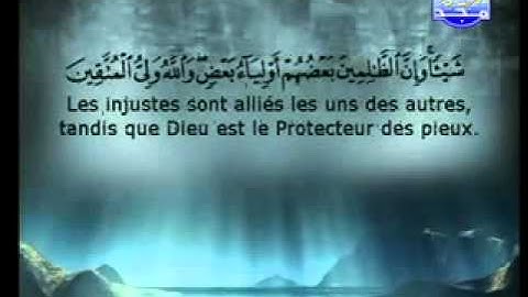 سورة الجاثية الشيخ السديس والشريم