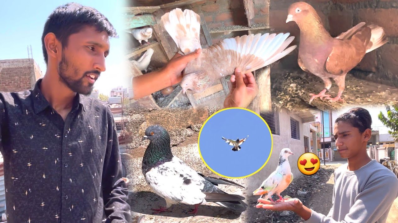 Purani nasl Ke Lal Chine Aur Tamde