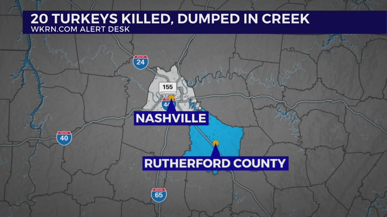 20 turkeys killed, dump in creek YouTube