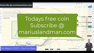 Zilliqa 24 March 2021 Zil Price action