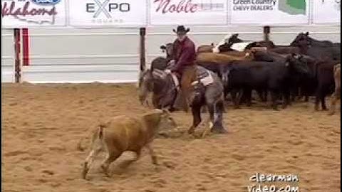 Metallic Cat - Promotional Video