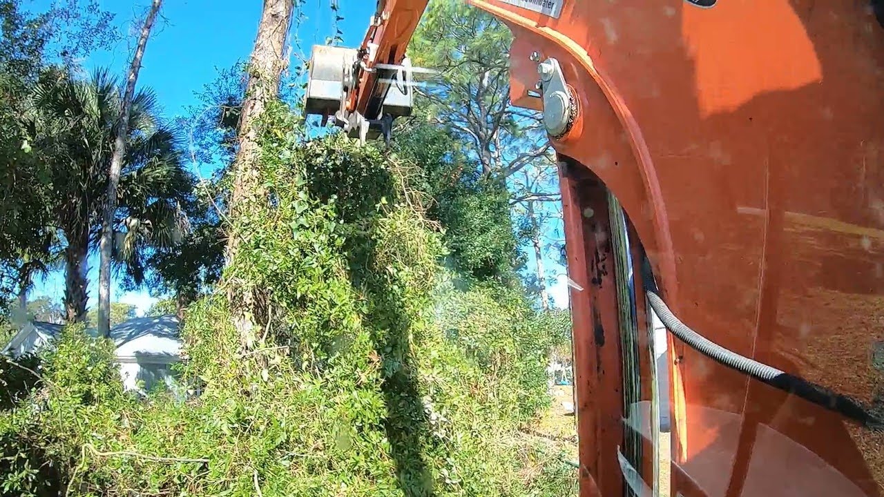 Clearing Overgrown Brush & Vines From A Fence Line - YouTube