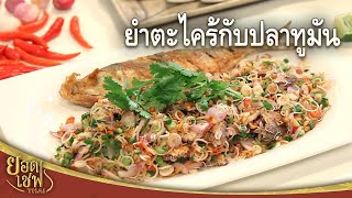 ยำตะไคร้กับปลาทูมัน Spicy Lemongrass Salad with Light Salt Mackerel | ยอดเชฟไทย (25-02-24)