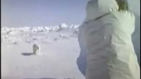 Moments of Truth Part 3 Hunting Polar Bear with Recurve Bow!