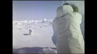 Moments of Truth Part 3 Hunting Polar Bear with Recurve Bow!