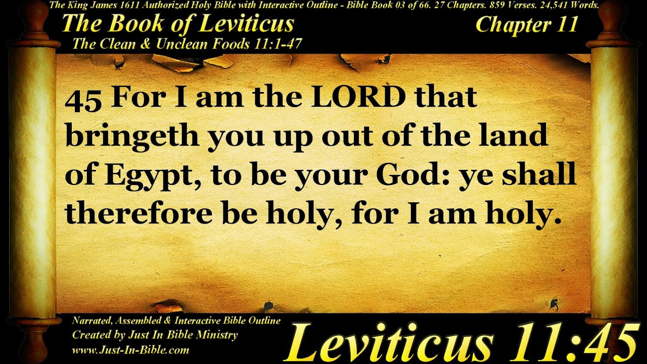Bible Book 03 Leviticus Chapter 11 The Holy Bible KJV Read Along bible-book-03-leviticus-chapter-11-the-holy-bible-kjv-read-along